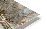 Treschows bro HD Metal print