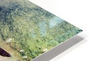 etang jaune HD Metal print