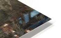 raillures HD Metal print
