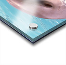 Dolphin Acrylic print