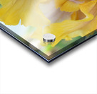 Orange Iris Acrylic print