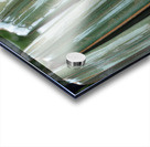 Green Pottery  Acrylic print