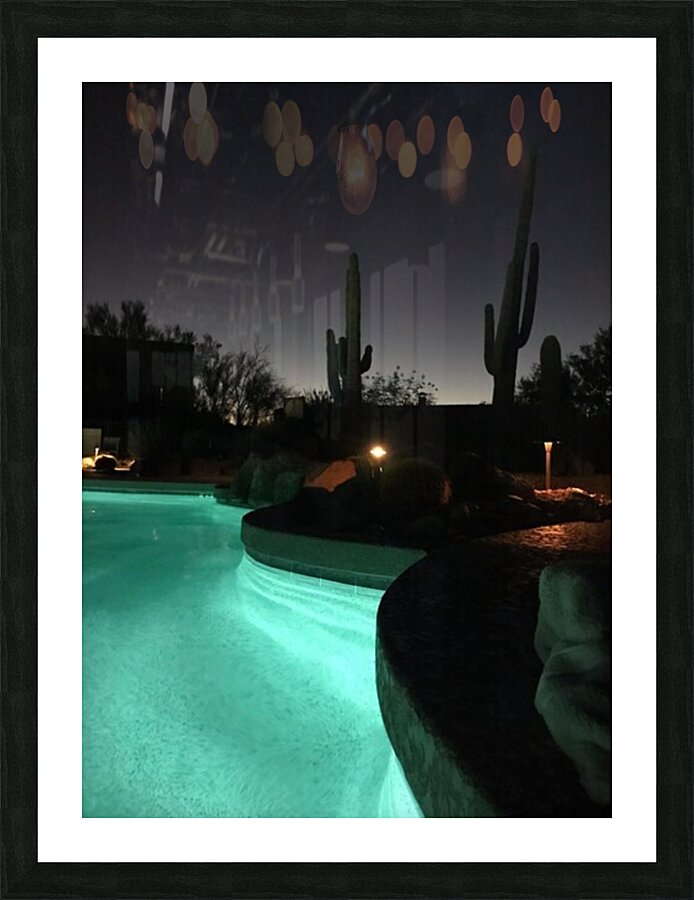 Pool Cacti Desert Night Picture Frame Printing