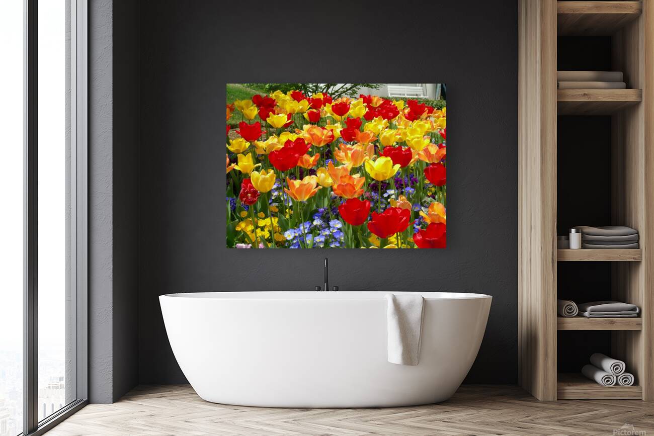 Tulip Garden Reproduction