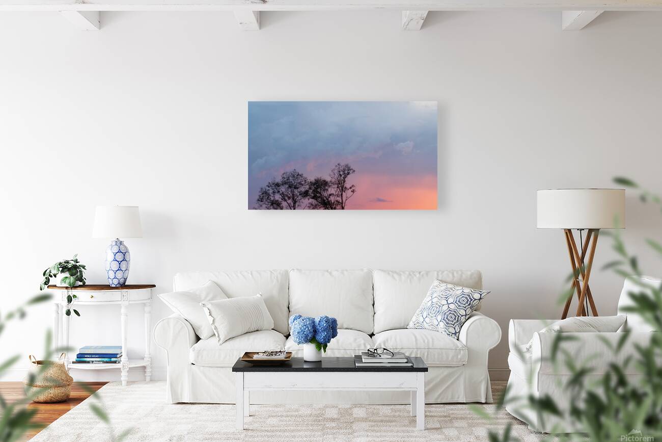 Pink Sunset  Reproduction