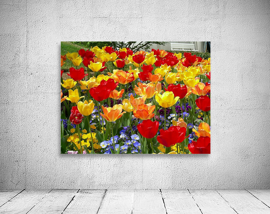 Tulip Garden Wall Preview