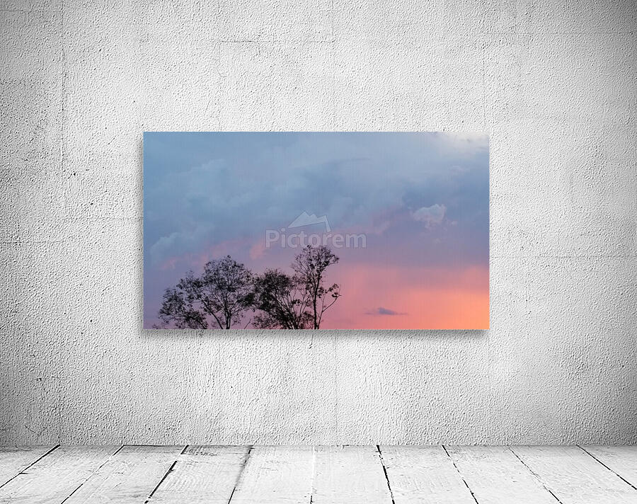 Pink Sunset  Wall Preview