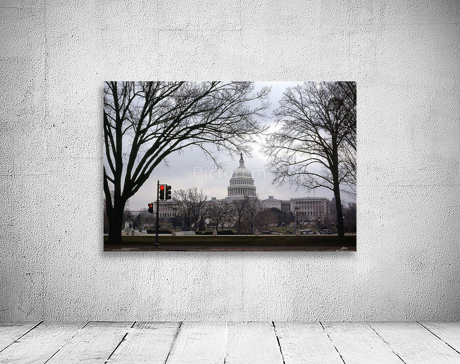 US Capital Bldg. Small Print Wall Preview