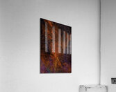 Element Fire   Pele Acrylic Print