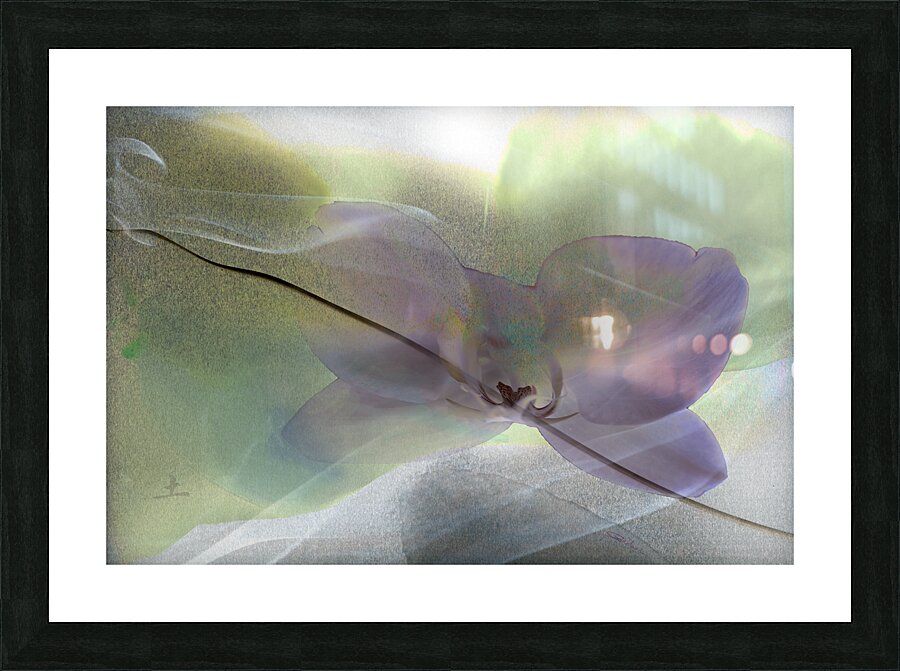 Element Earth xiii Picture Frame print