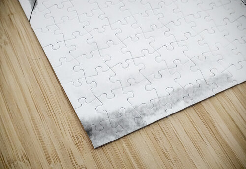 THE EXCHANGE The Good Bro’s puzzle