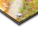 Sunset Meadow Acrylic print