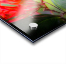 Paper Kite Dreams Acrylic print