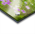 Wild Bergamot Acrylic print