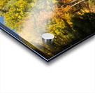 Fall in North Woods Acrylic print