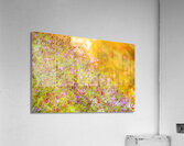 Sunset Meadow Acrylic Print