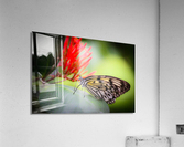 Paper Kite Dreams Acrylic Print