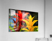 Vibrant Botanicals Acrylic Print