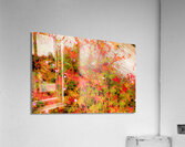 Joyful Geraniums Acrylic Print