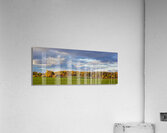 Fall on the Horizon Acrylic Print