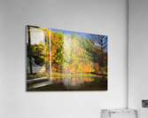 Fall in North Woods Acrylic Print