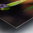 Blooms Friend Metal print