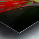 Paper Kite Dreams Metal print