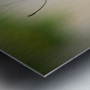 Lovely Lacewing Metal print