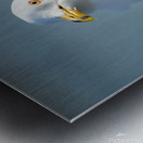 Seagull Sighting Metal print