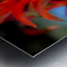 Vibrant Botanicals Metal print