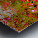 Joyful Geraniums Metal print