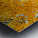 Fall Foliage Metal print