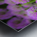 Serendipity Metal print