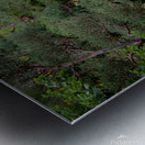 Peaceful Crossings Metal print