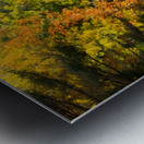 Fall in North Woods Metal print