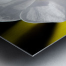 Smiling Moth Orchid Metal print