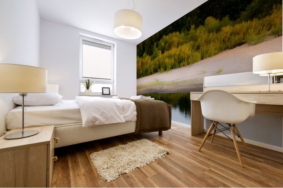 Sunset Reflections Mural print