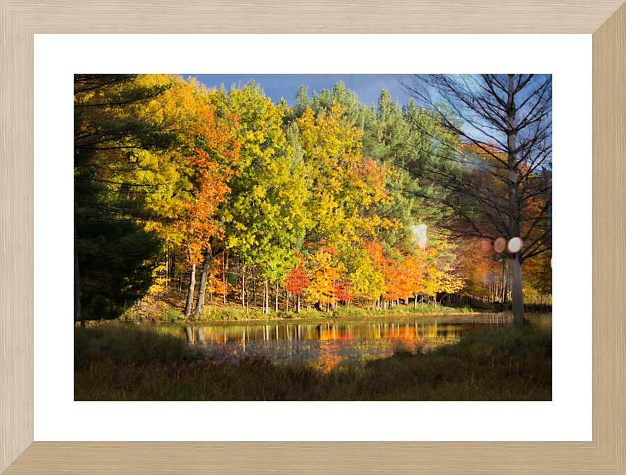 Fall in North Woods Picture Frame print