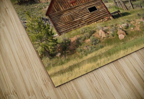 Forgotten Cabin Kinseys Captures puzzle
