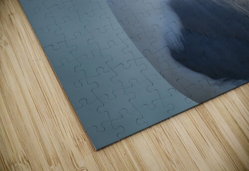 Seagull Sighting Kinseys Captures puzzle