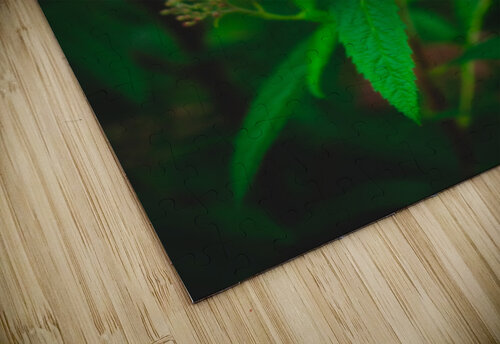 Mystical Meadowsweet Kinseys Captures puzzle