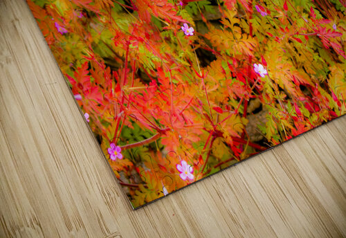 Joyful Geraniums Kinseys Captures puzzle