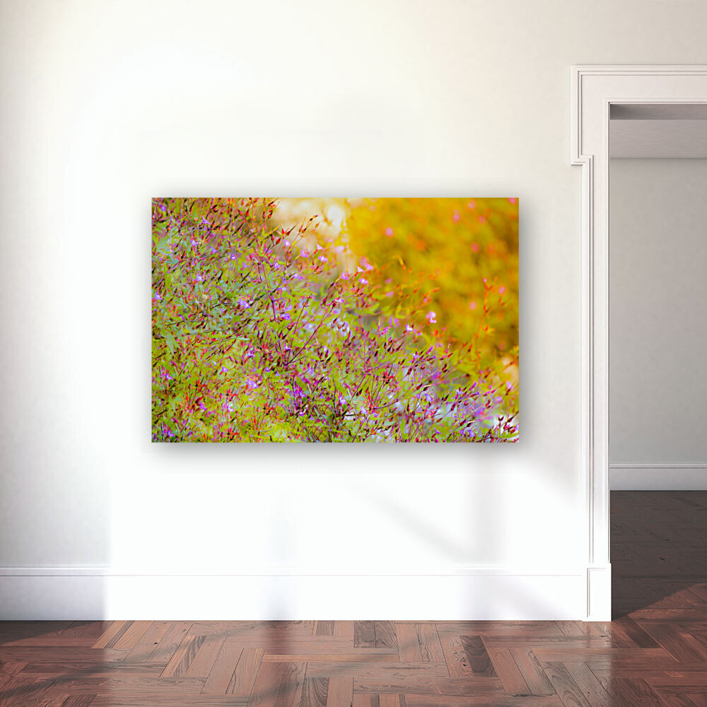 Sunset Meadow Reproduction
