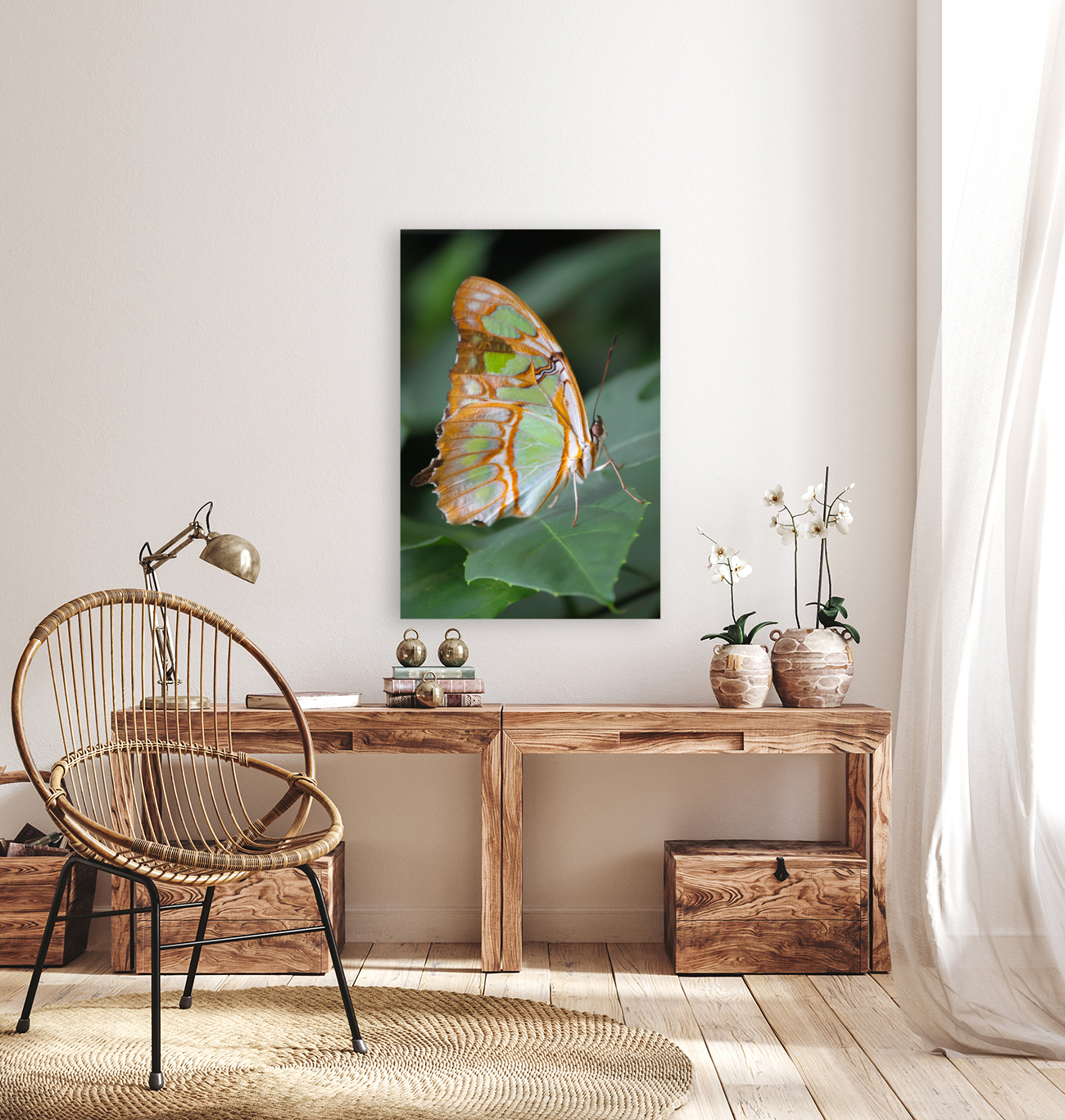 Belle Papillon Reproduction