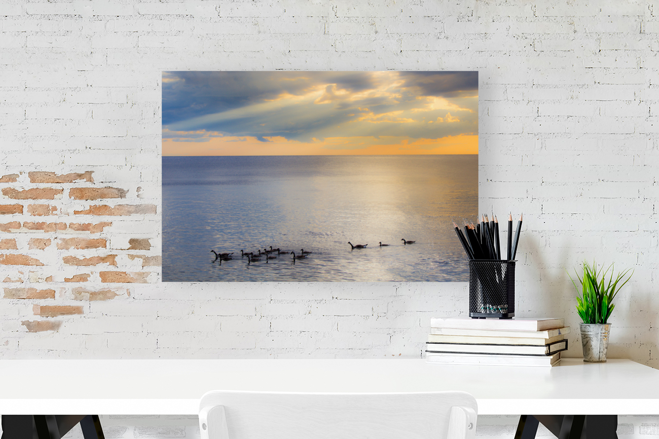 Sunset Journeys Reproduction