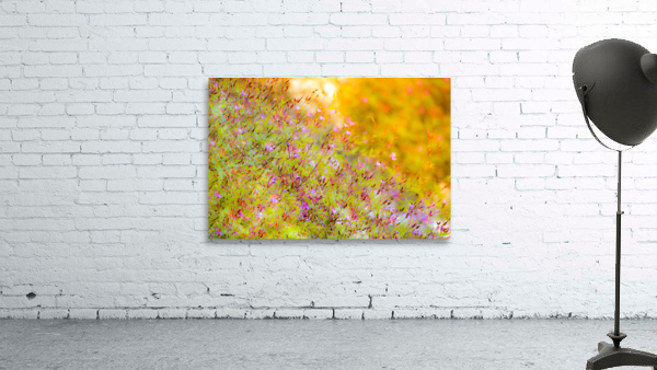 Sunset Meadow Wall Preview