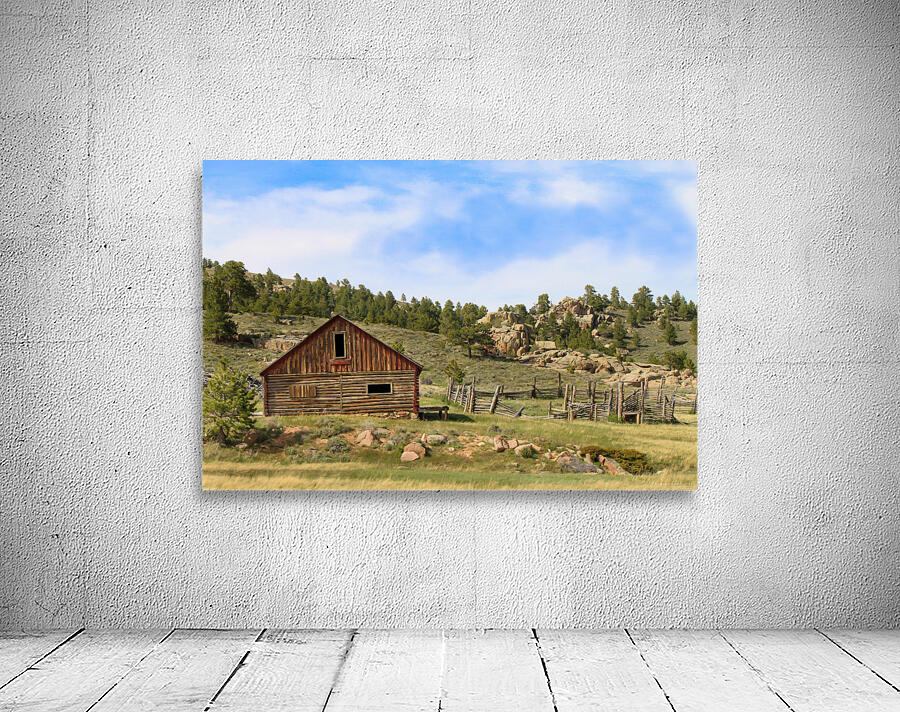 Forgotten Cabin Wall Preview