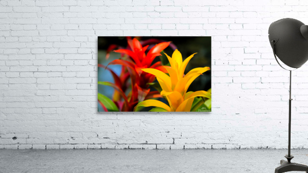 Vibrant Botanicals Wall Preview