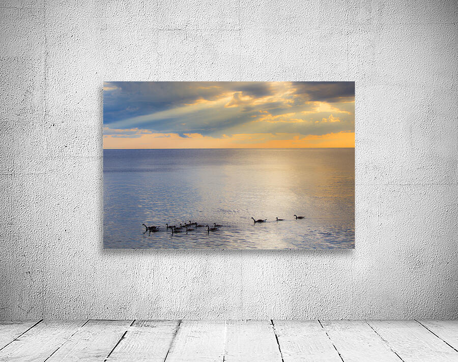 Sunset Journeys Wall Preview