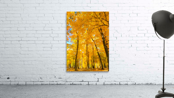 Fall Foliage Wall Preview